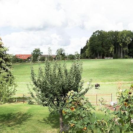 Naturidyl Schneckenbuch Weißensberg المظهر الخارجي الصورة