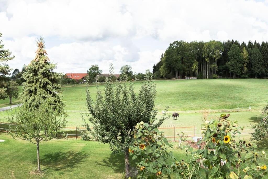 Naturidyl Schneckenbuch Weißensberg المظهر الخارجي الصورة
